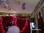 C0braf0rce cam4 livecam show performer room profile