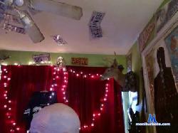 C0braf0rce cam4 live cam performer profile