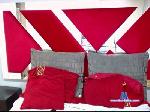 angelesshow1 cam4 livecam show performer room profile