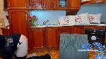 MayaDesi cam4 livecam show performer room profile