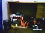nini4322 cam4 livecam show performer room profile