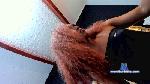 niceneighbor cam4 livecam show performer room profile
