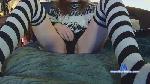 Pocketpawg cam4 livecam show performer room profile