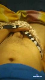 Polnikelson cam4 livecam show performer room profile