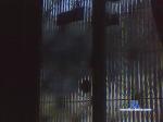 baheea cam4 livecam show performer room profile