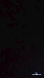 fadinha23 cam4 livecam show performer room profile
