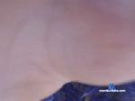 Charlotte858 cam4 livecam show performer room profile