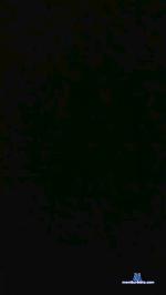 carvlk99 cam4 livecam show performer room profile