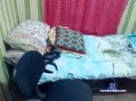 bboy49 cam4 livecam show performer room profile