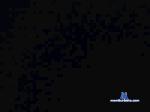 Bipaar_524 cam4 livecam show performer room profile