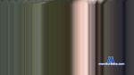 alecnex cam4 livecam show performer room profile