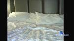 shantya cam4 livecam show performer room profile