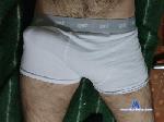 Tylertrevor19 cam4 livecam show performer room profile