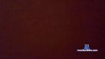 ltorres_novinho cam4 livecam show performer room profile