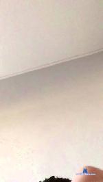 23cmElephant cam4 livecam show performer room profile