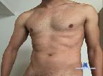 KnightofFrance cam4 livecam show performer room profile