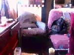 alexandr2520 cam4 livecam show performer room profile