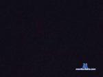 argeror cam4 livecam show performer room profile