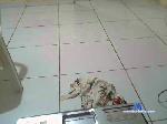 yala32 cam4 livecam show performer room profile