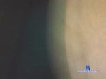 junior_pvh cam4 livecam show performer room profile