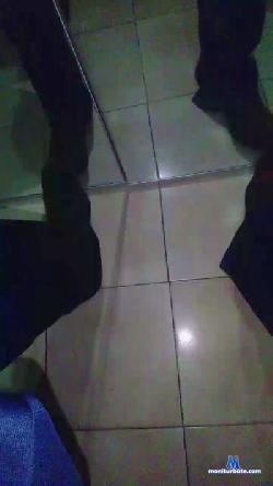 icebulls cam4 live cam performer profile