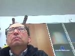 pisellocald cam4 livecam show performer room profile