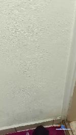 almtz997 cam4 livecam show performer room profile