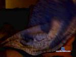 Torito102 cam4 livecam show performer room profile