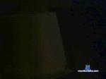 trepalle cam4 livecam show performer room profile
