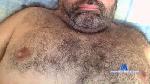 peloso_79 cam4 livecam show performer room profile