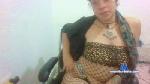Punkwitxh cam4 livecam show performer room profile