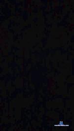 Werlando cam4 livecam show performer room profile