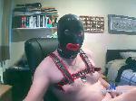 wolveskitlad cam4 livecam show performer room profile