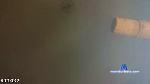 rox_trave cam4 livecam show performer room profile