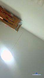 javgom1 cam4 livecam show performer room profile