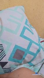 albertocarey524 cam4 livecam show performer room profile