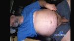 petz44 cam4 livecam show performer room profile