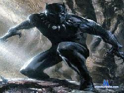 Panther_black cam4 live cam performer profile