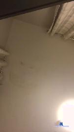 game181 cam4 livecam show performer room profile