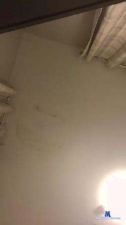 game181 cam4 live cam performer profile