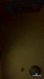 Sp2miguel cam4 livecam show performer room profile