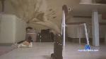 giacobbe4 cam4 livecam show performer room profile