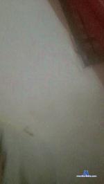 elchiquito6 cam4 livecam show performer room profile
