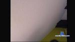 funny09 cam4 livecam show performer room profile