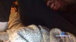 scotty163 cam4 livecam show performer room profile