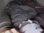 setend cam4 livecam show performer room profile