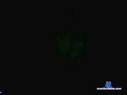 tulipan cam4 live cam performer profile