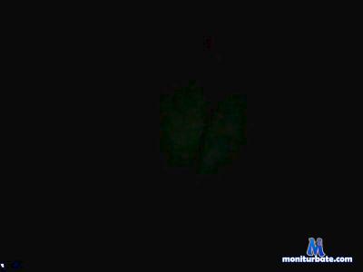 tulipan cam4 gay performer from Republic of Poland  
