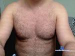 musclestud29 cam4 livecam show performer room profile