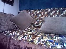 pingadequito cam4 live cam performer profile